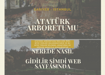 Atatürk Arboretumu Nerede Nasıl Gidilir