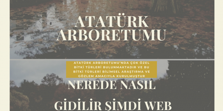 Atatürk Arboretumu Nerede Nasıl Gidilir