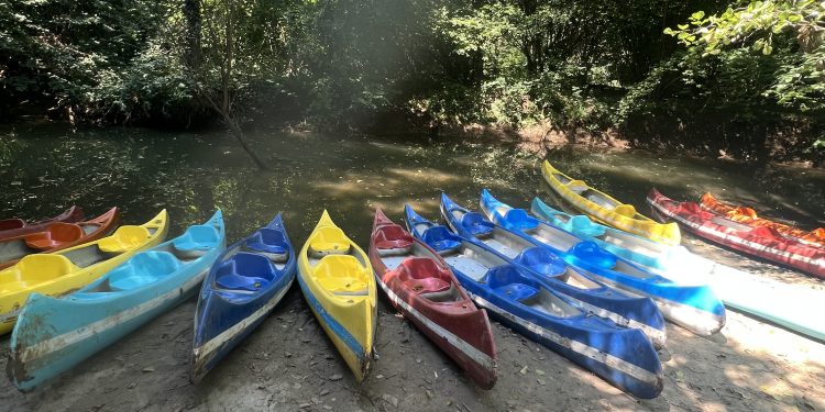 İğneada Longoz Ormanları Kano Turları