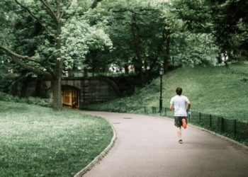 Central Park’a Nasıl Ulaşılır?